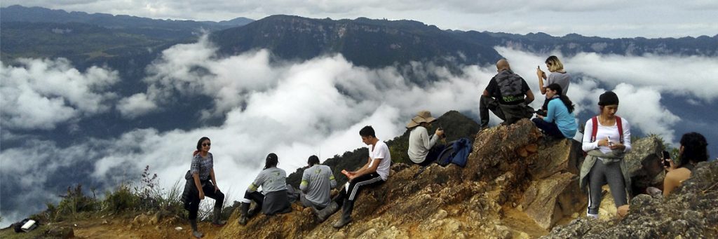 Foto de estudiantes de ecología en trabajo de campo en paisajes colombianos