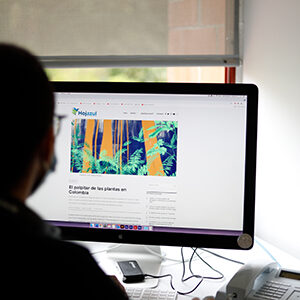 fotografía de una persona mirando usando un computador